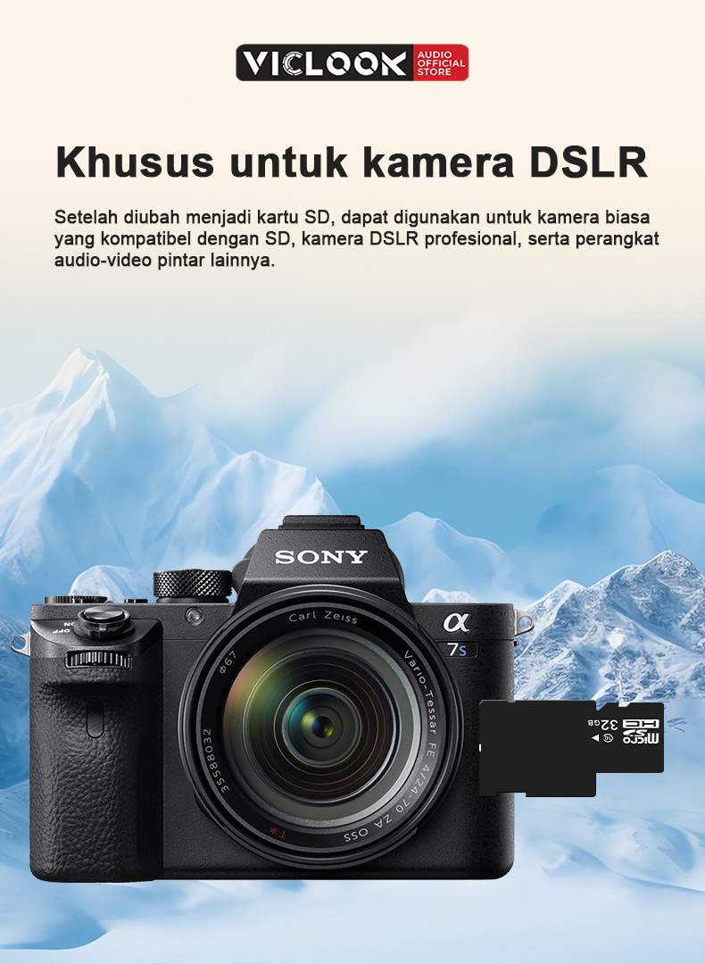 VICLOOK Kartu Memori Micro