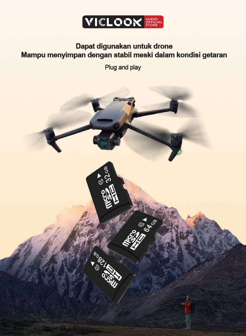 VICLOOK Kartu Memori Micro