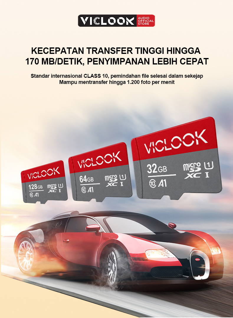 VICLOOK Kartu Memori Micro