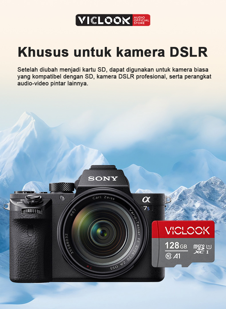 VICLOOK Kartu Memori Micro