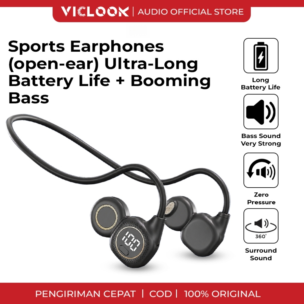VICLOOK Microphone