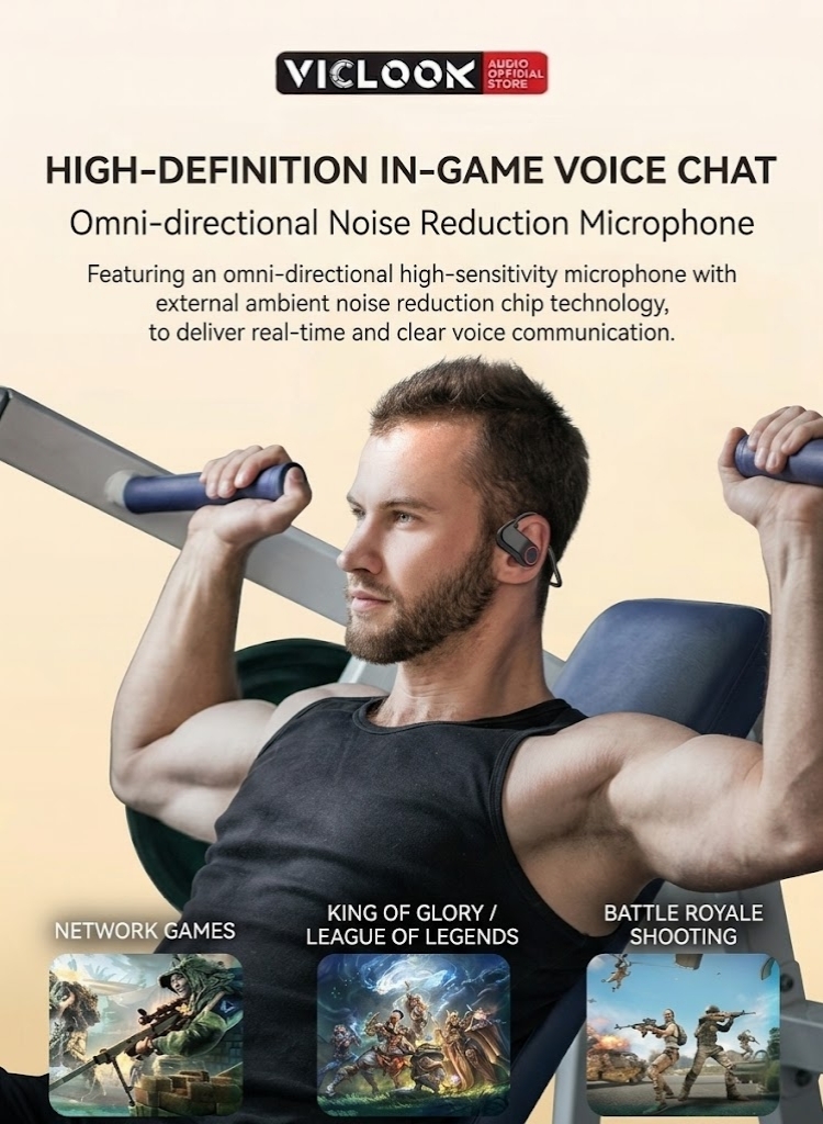 VICLOOK Microphone