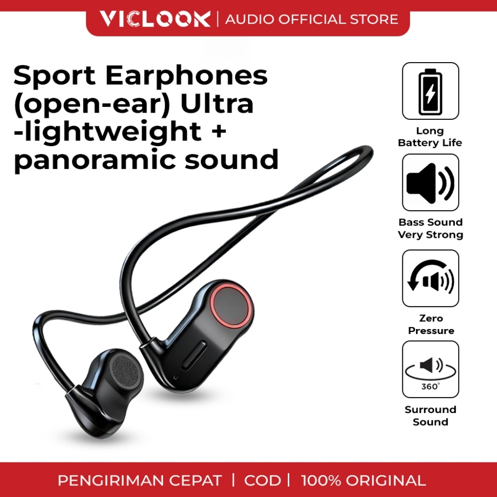 VICLOOK Microphone
